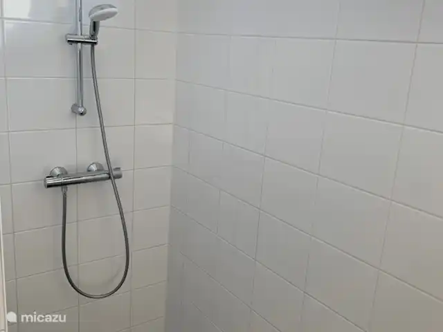 Vista del prado en Países Bajos, Barbante Septentrional, Cromvoirt - bungaló Ducha en el baño