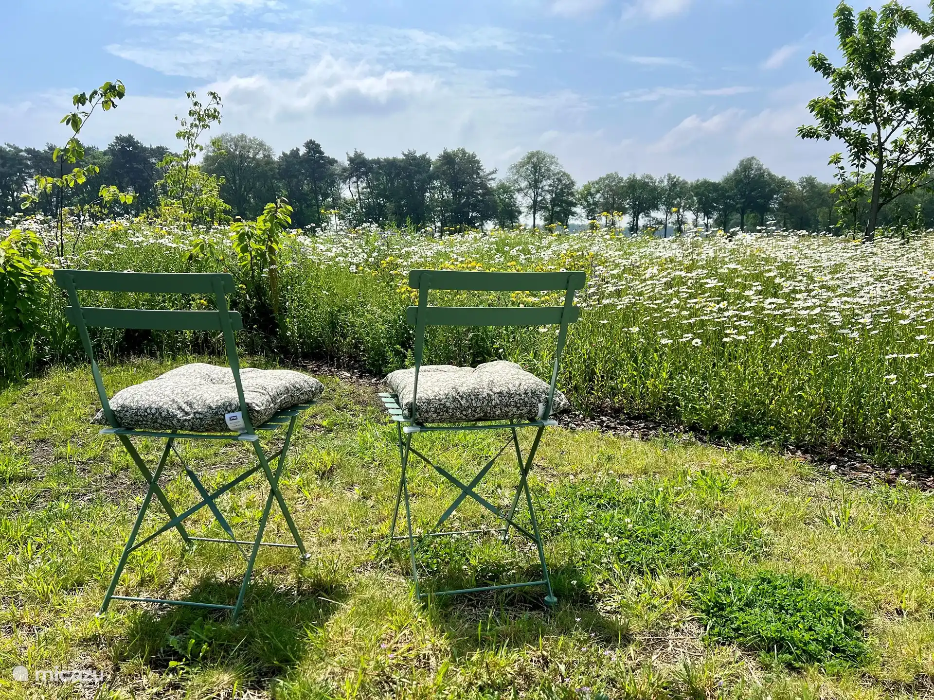 Zitje in bloementuin
