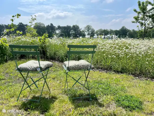 Vista del prado en Países Bajos, Barbante Septentrional, Cromvoirt - bungaló Asiento en el jardín de flores