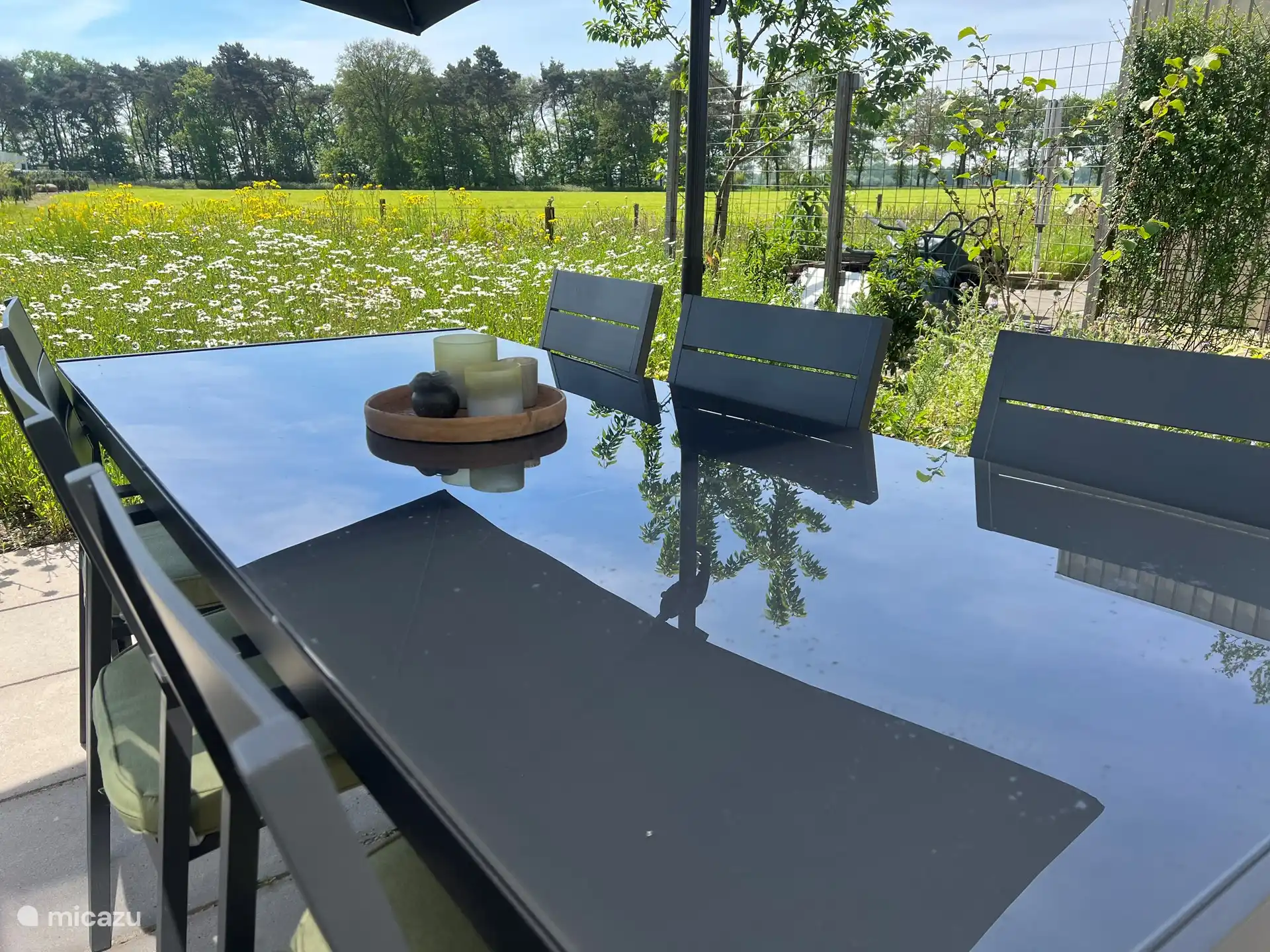 Terras met eettafel en bloemenweide