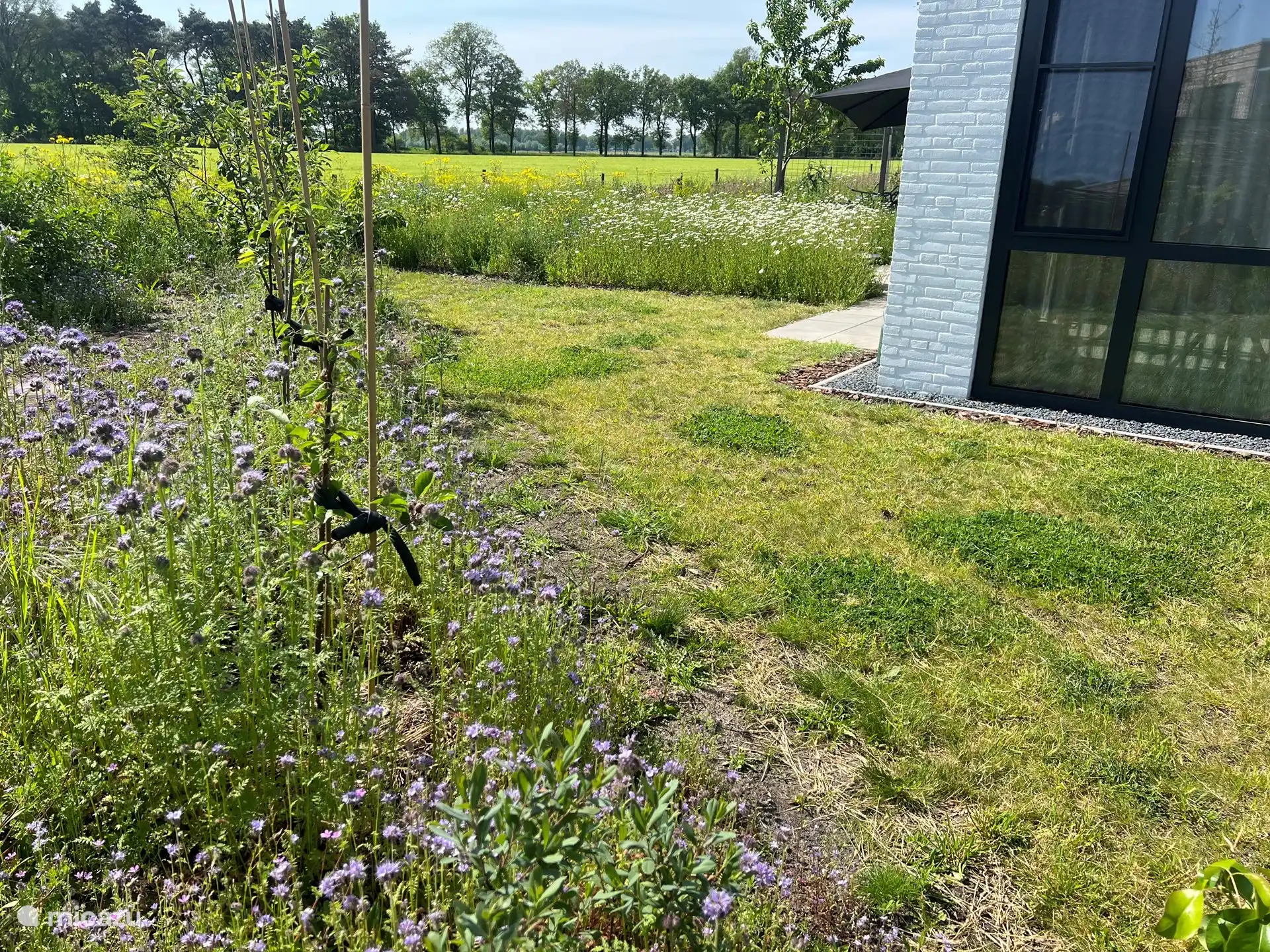 zijtuin, bloemenweide met uitzicht over de weide