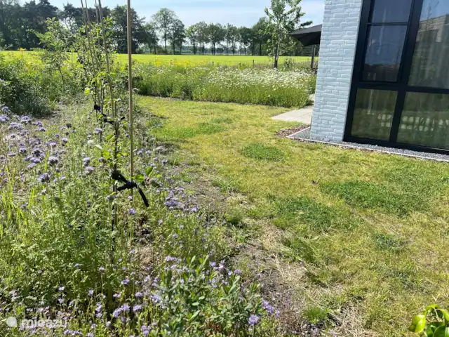 Vista del prado en Países Bajos, Barbante Septentrional, Cromvoirt - bungaló jardín lateral, prado de flores con vistas a la pradera
