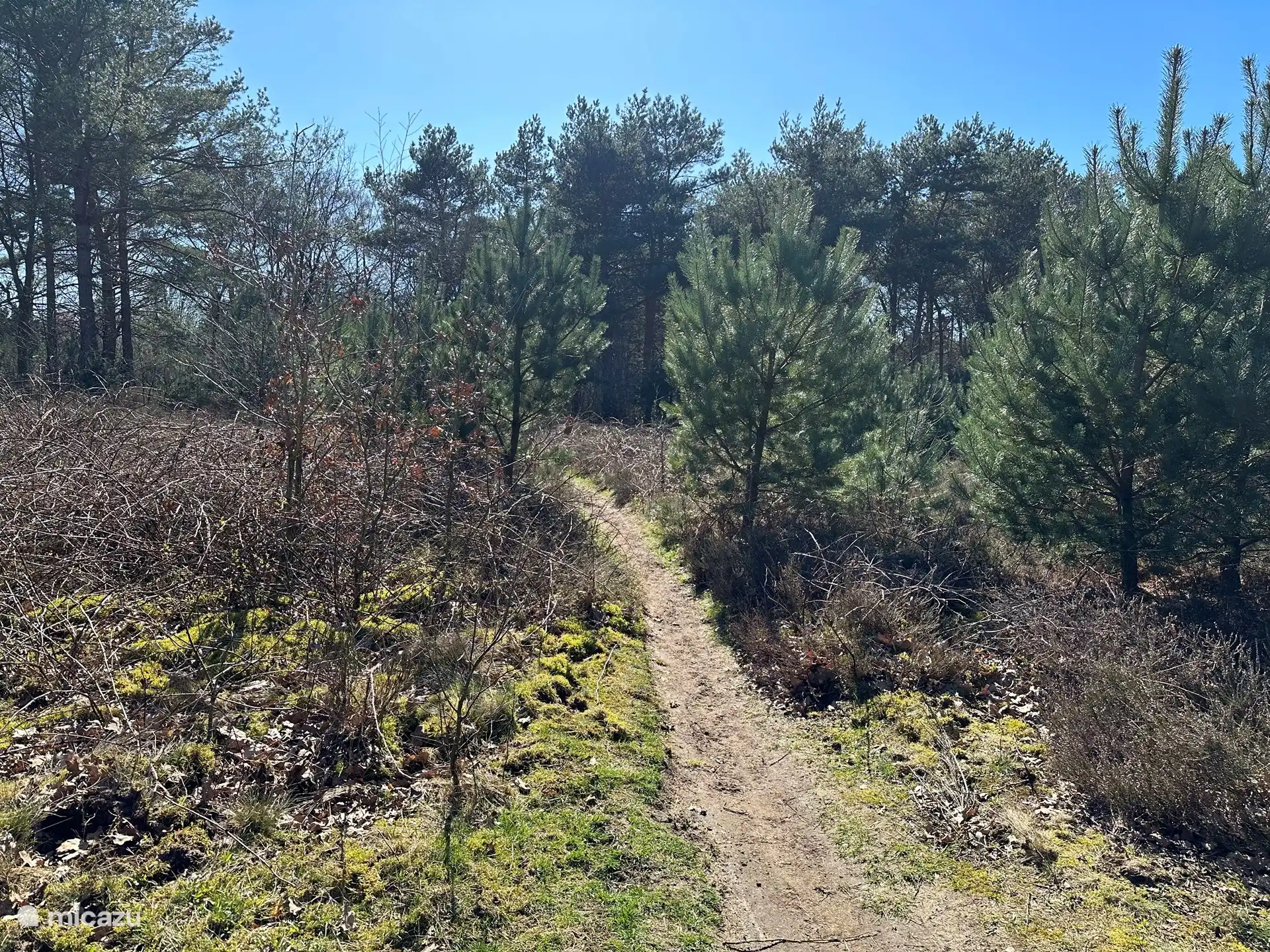 The Krachtighuizerheide.