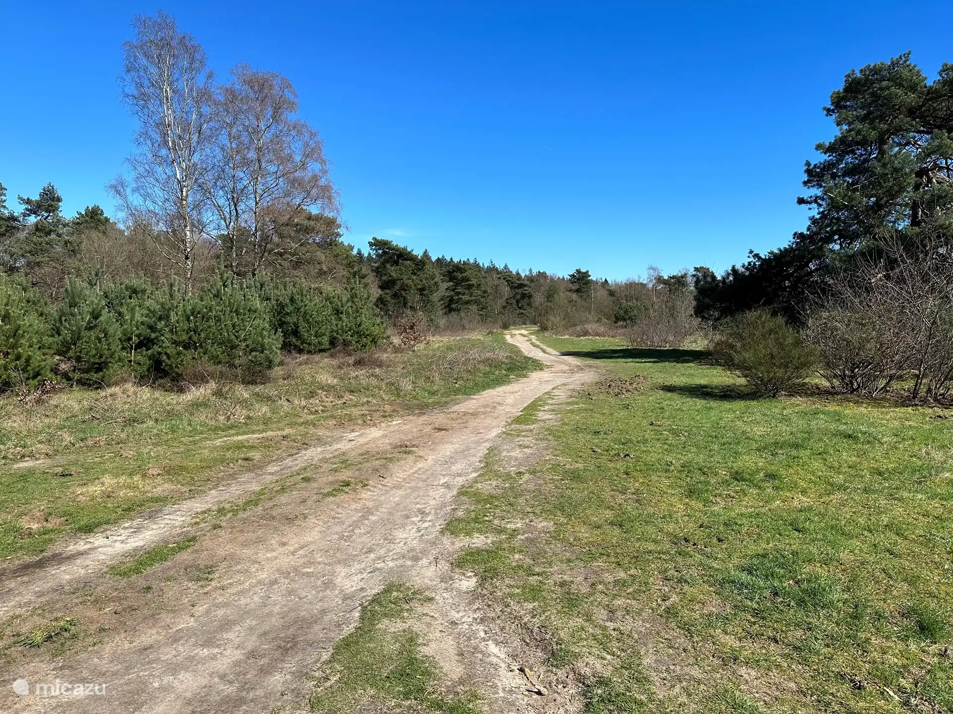 Nice walk on a beautiful summer day.