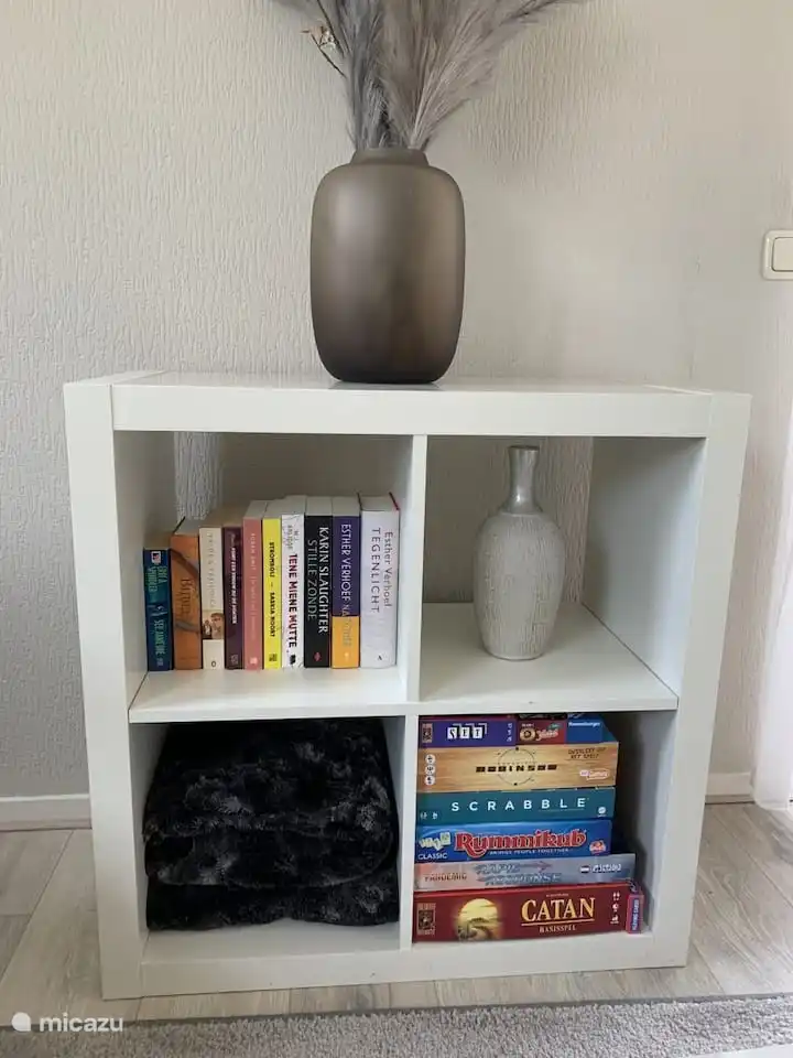 There are various board games and books in the living room.