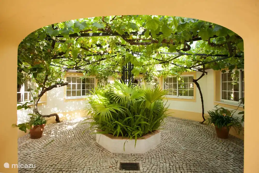 Entr&#233;e patio &#224; la maison