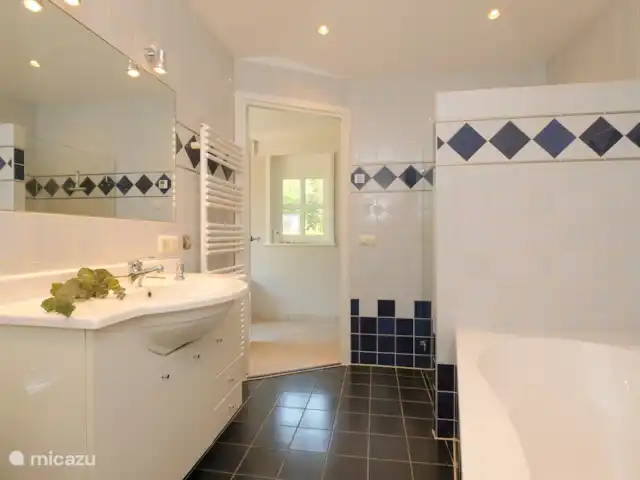 Bosparel huren in Nederland, Overijssel, Holten - vakantiehuis Badkamer met douche, whirlpool, toilet en groot badmeubel