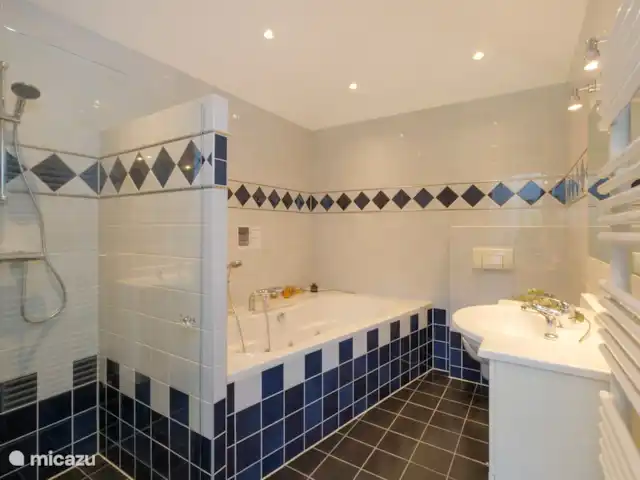 Bosparel huren in Nederland, Overijssel, Holten - vakantiehuis Badkamer met whirlpool, douche, toilet, designradiator, vloerverwarming en groot badmeubel