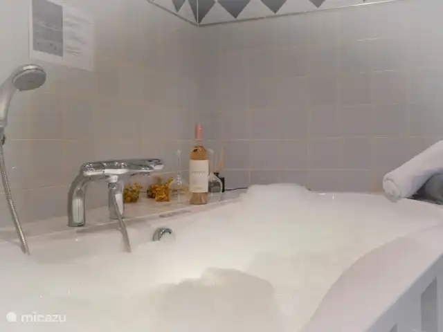 Bosparel huren in Nederland, Overijssel, Holten - vakantiehuis Whirpool