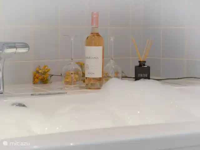 Bosparel huren in Nederland, Overijssel, Holten - vakantiehuis Whirlpool in werking