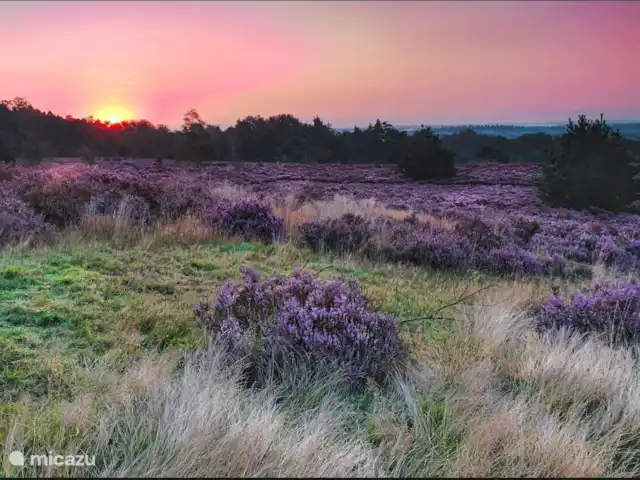 Bosparel huren in Nederland, Overijssel, Holten - vakantiehuis Holterberg