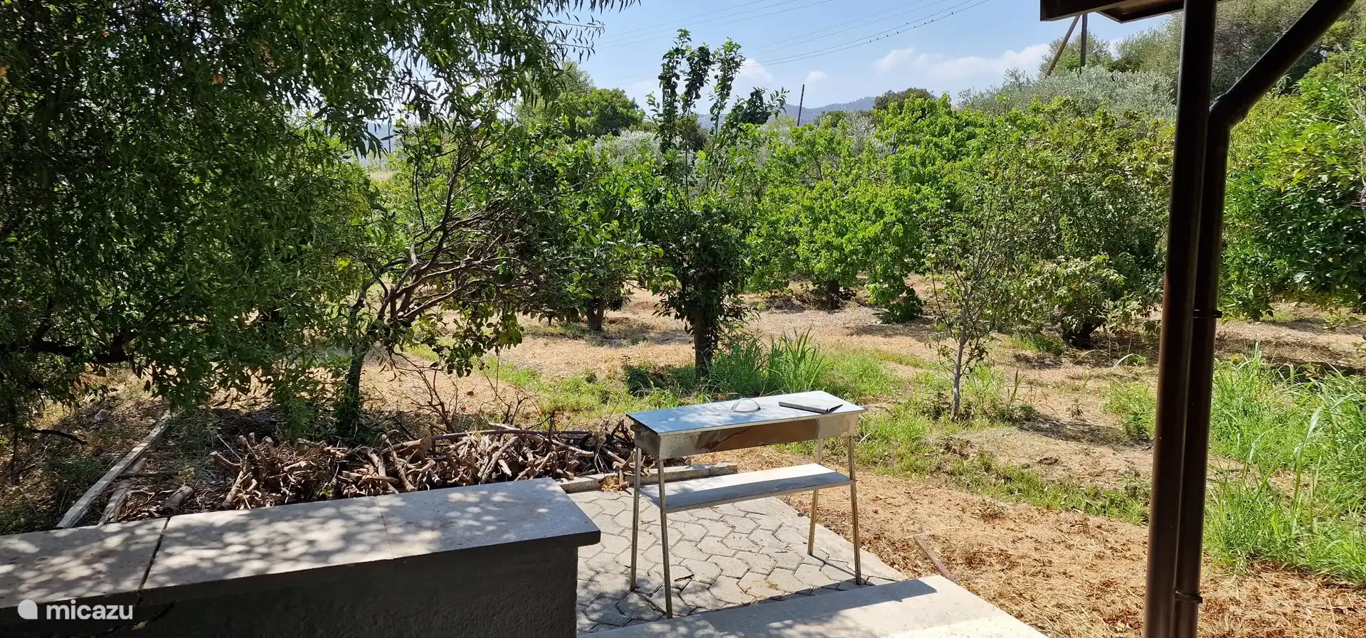 Una orgullosa tradición chipriota (barbacoa).