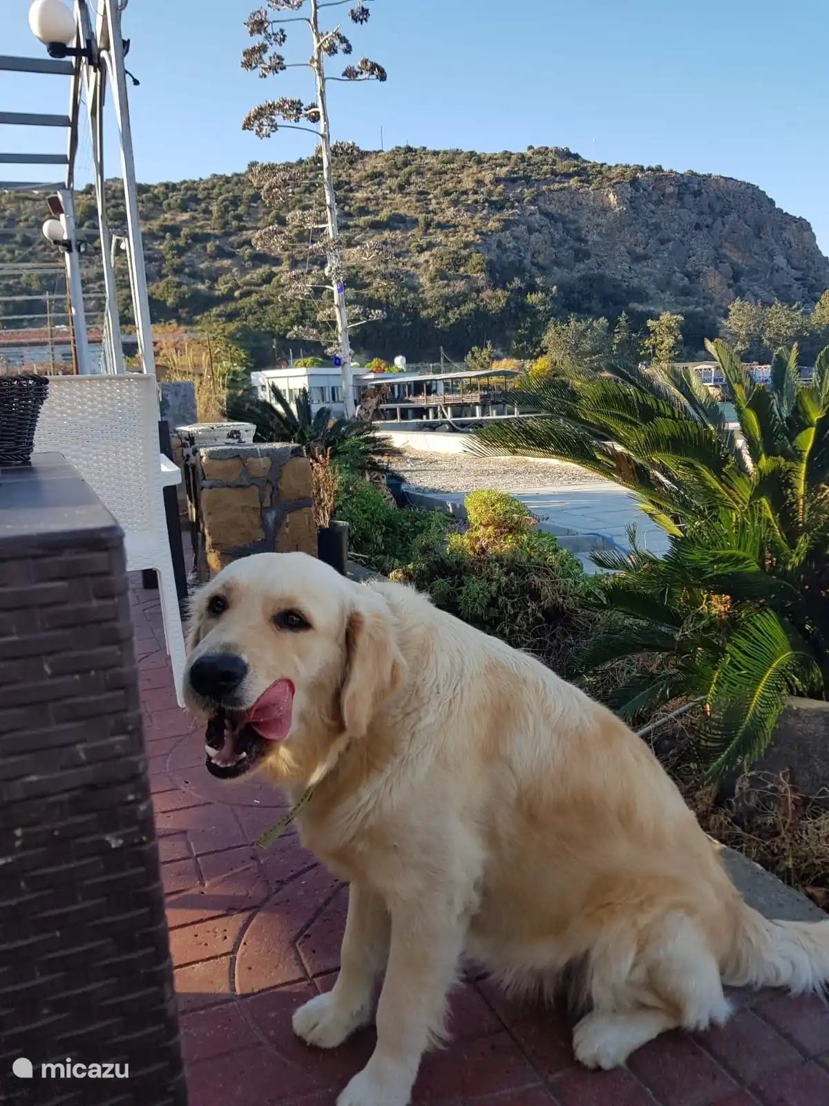 El cliente habitual del restaurante, satisfecho.