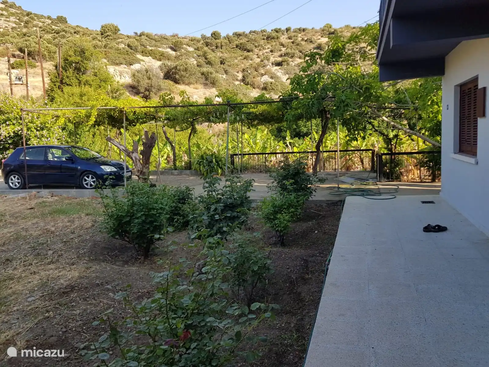 El camino de entrada y los arbustos de uva.