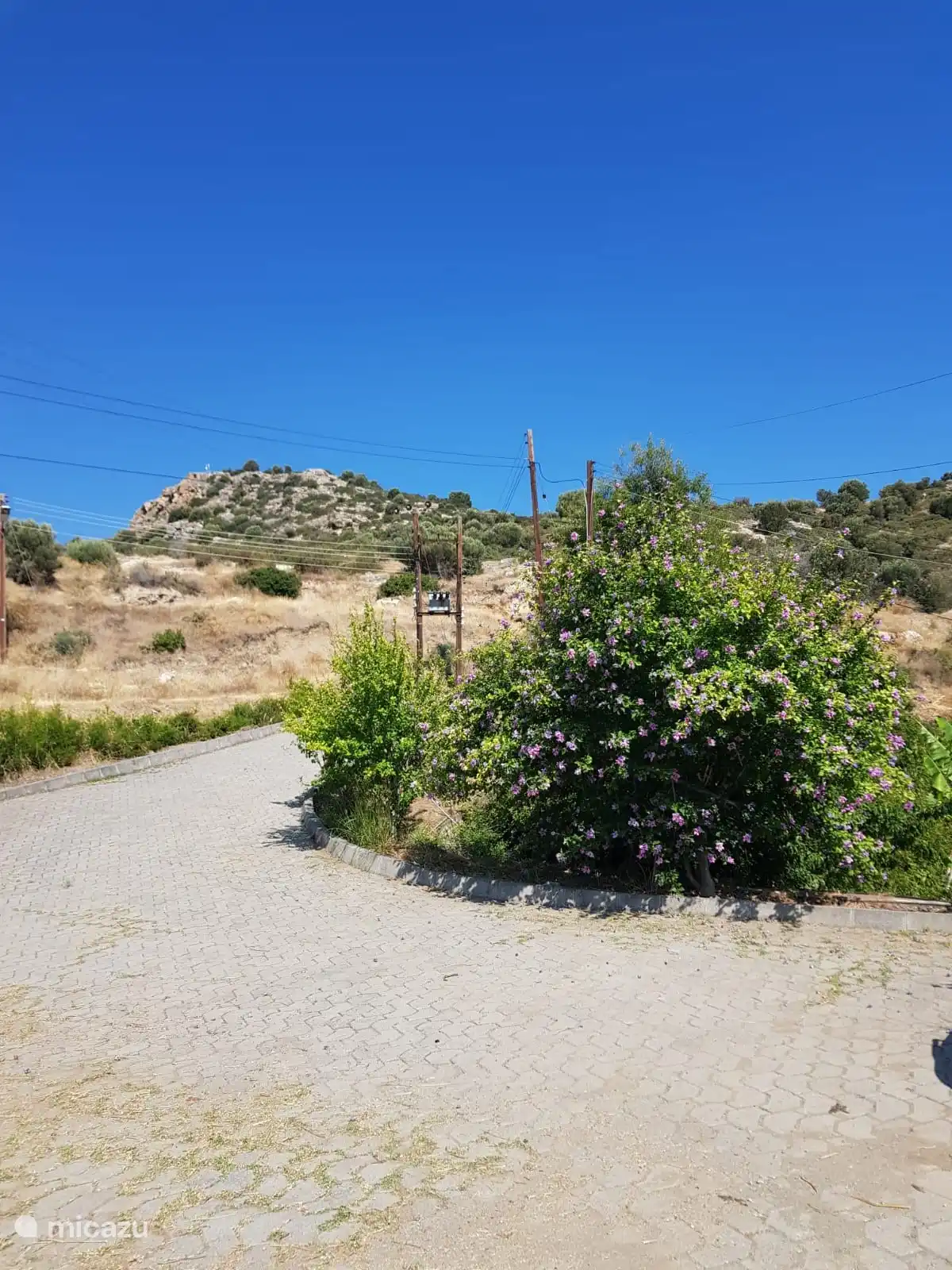 El camino de entrada a la casa.