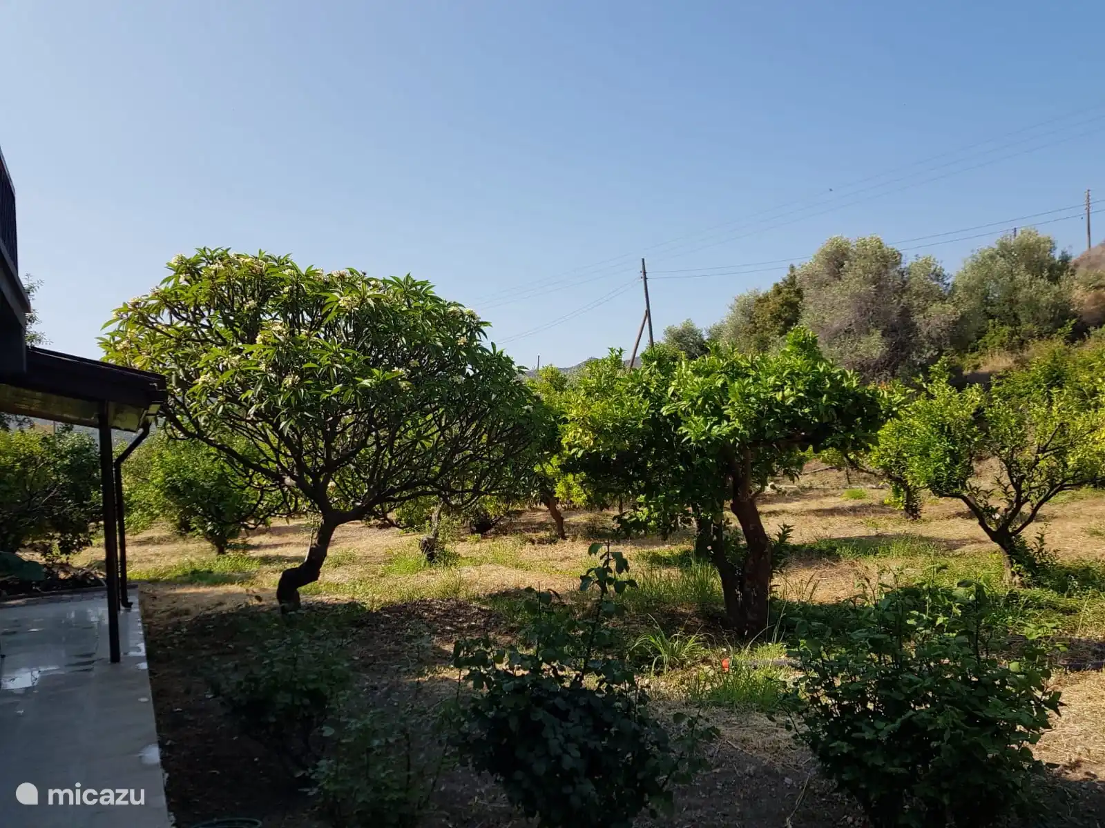 De donde la casa toma su nombre.