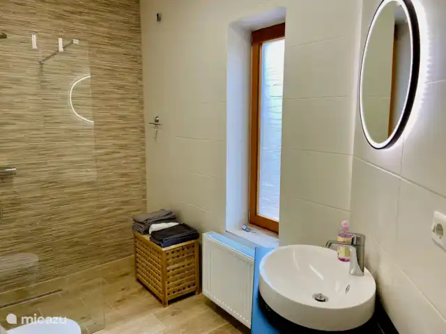 appartement huren in Duitsland, Rijnland-Palts, Trier – Vakantiewoning Reuscher Trier Newel badkamer
