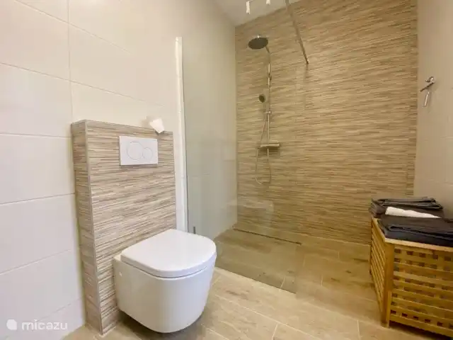 appartement huren in Duitsland, Rijnland-Palts, Trier – Vakantiewoning Reuscher Trier Newel badkamer