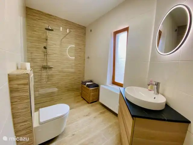 appartement huren in Duitsland, Rijnland-Palts, Trier – Vakantiewoning Reuscher Trier Newel badkamer