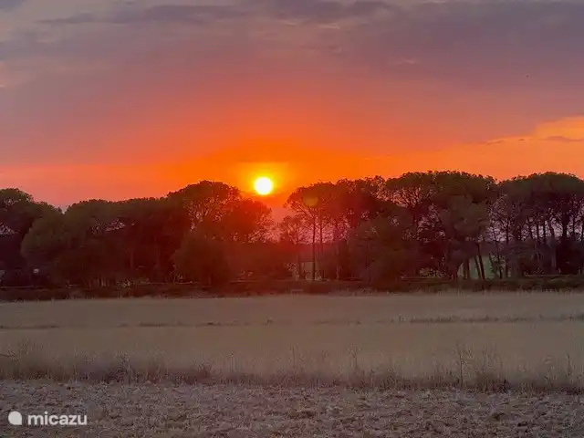 Can Massanet - appartement Luna | Espagne, Costa Brava, Llagostera - appartement Souvent un très beau coucher de soleil chez nous