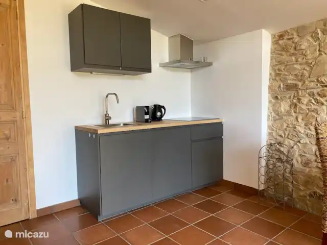 Can Massanet - appartement Luna | Espagne, Costa Brava, Llagostera - appartement Cuisine avec plaque à induction 4 feux avec hotte aspirante.
Réfrigérateur avec congélateur.
Machine Nespresso et bouilloire.