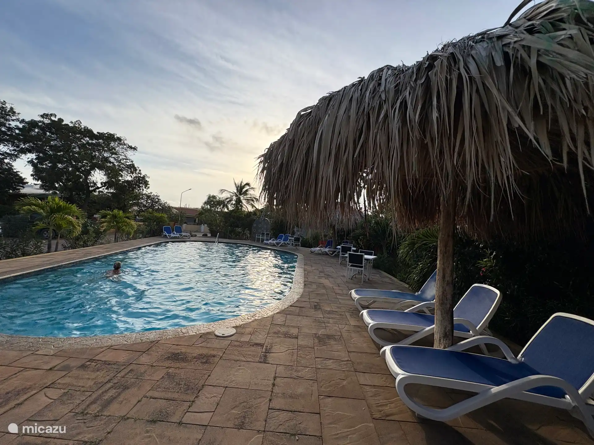 Piscine Sfeelvol avec de nouveaux parapluies en feuilles de palmier pour l’ombre. 