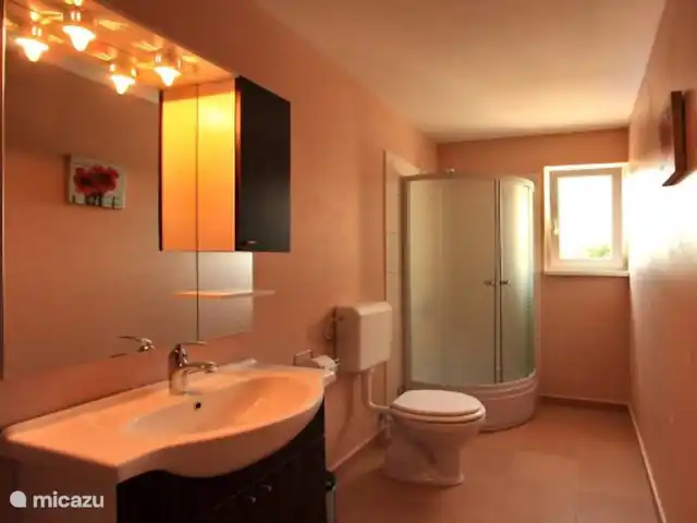 ⭐ Gruppenferienhaus Villa Augustus ⭐ huren in Kroatië, Istrië, Zminj - vakantiehuis