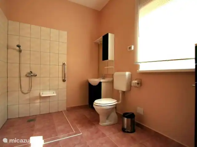 ⭐ Gruppenferienhaus Villa Augustus ⭐ huren in Kroatië, Istrië, Zminj - vakantiehuis