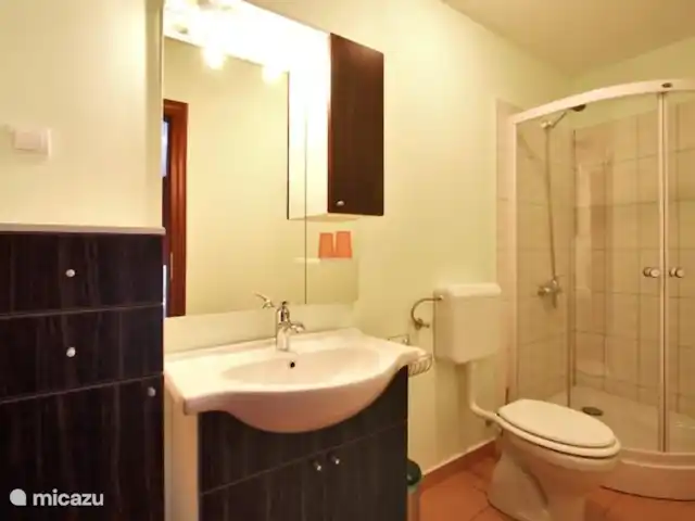 ⭐ Gruppenferienhaus Villa Augustus ⭐ huren in Kroatië, Istrië, Zminj - vakantiehuis