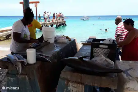 Playa Piscado/ Playa Forti