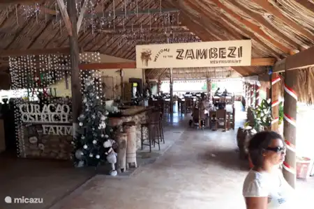 Ferme d'autruches de Curaçao