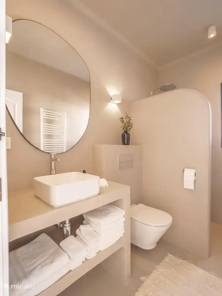 Microcement bathroom with walk-in shower, toilet and sink.