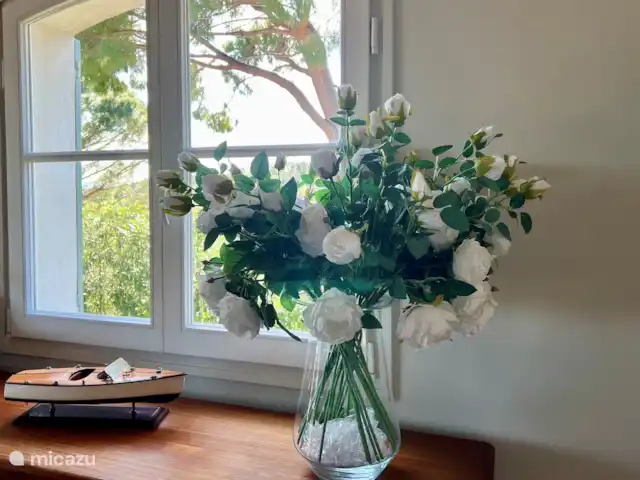 Villa Cítricos en Francia, Costa Azul, Grimaud - villa Detalles