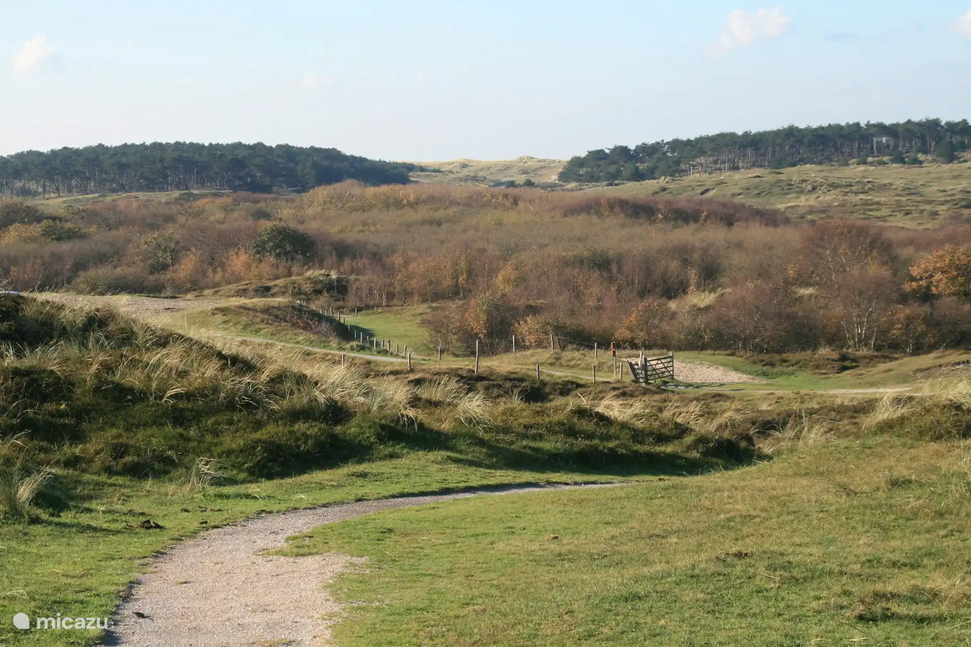 Ons duingebied nodigt uit voor mooie wandelingen. We liggen hier ook dichtbij de Schoorlse Duinen met zijn pittige mountainbikeroute.