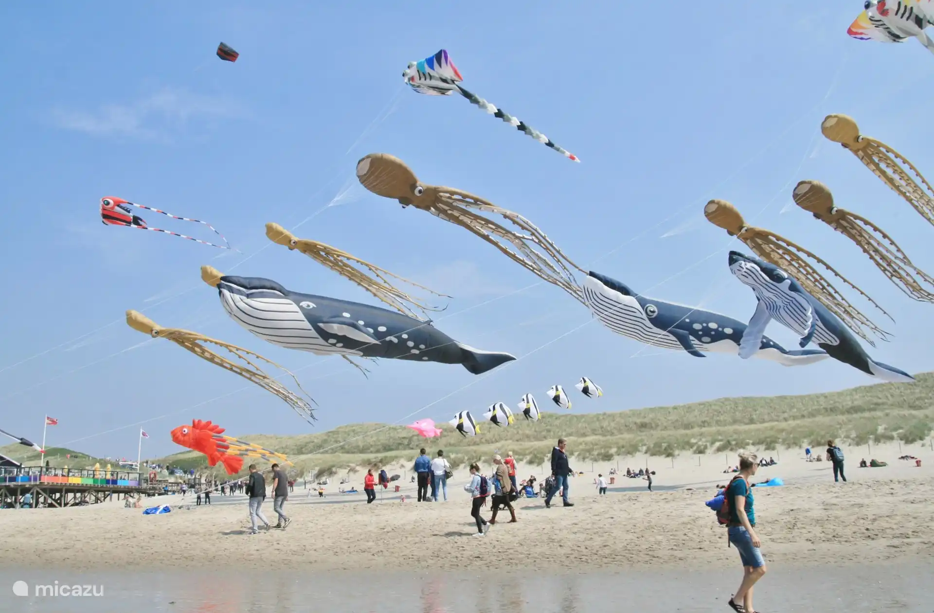 Vliegeren op het strand van Callantsoog. Hier vlakbij.