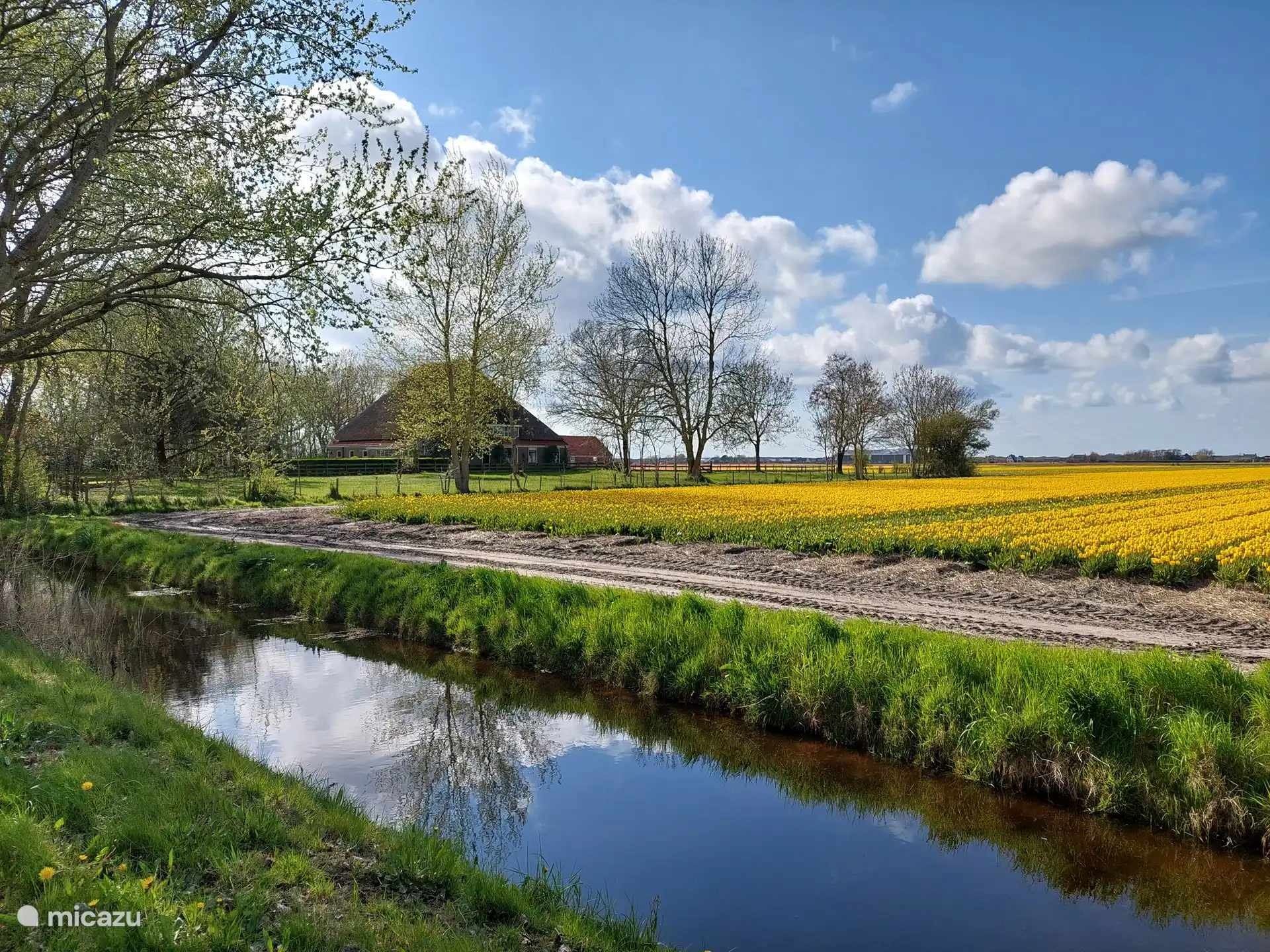 Het landschap nodigt uit om te fietsen, te wandelen, te...