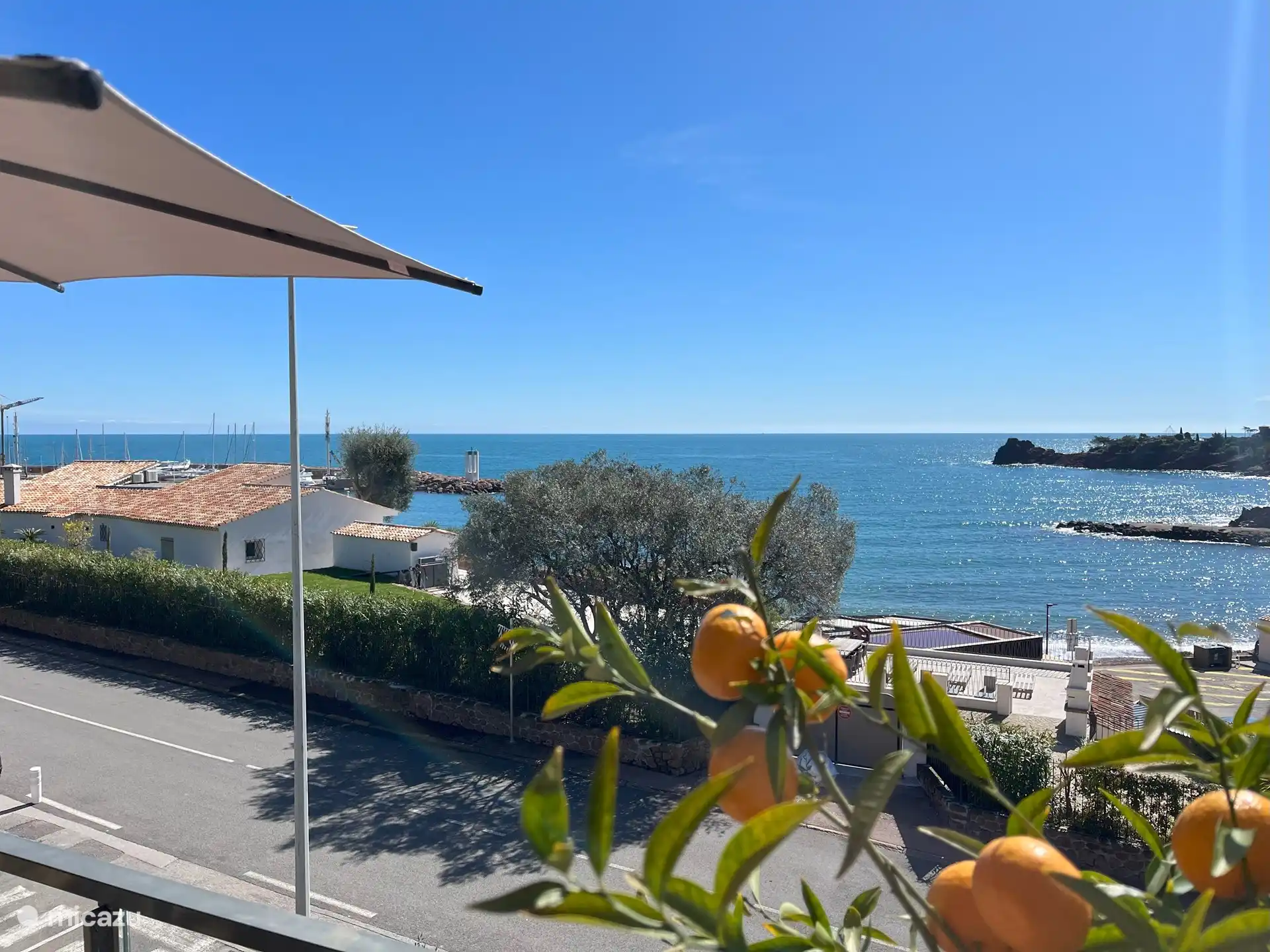 Im März können Sie die Mandarinen pflücken und essen!