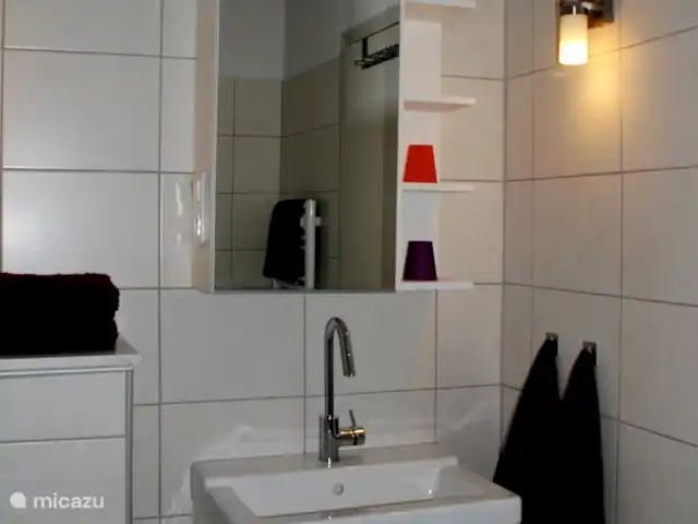 La Gloriette | France, Maine-et-Loire, Les Bois d'Anjou - gîte / cottage Salle de bain avec douche, lavabo et WC