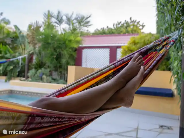 Sérénade de l’île | Curaçao, Curaçao-Centre, Boca St. Michiel - studio Profitez d’une détente ultime au bord de la piscine entourée de chaises longues confortables, d’un hamac et d’un parasol ombragé