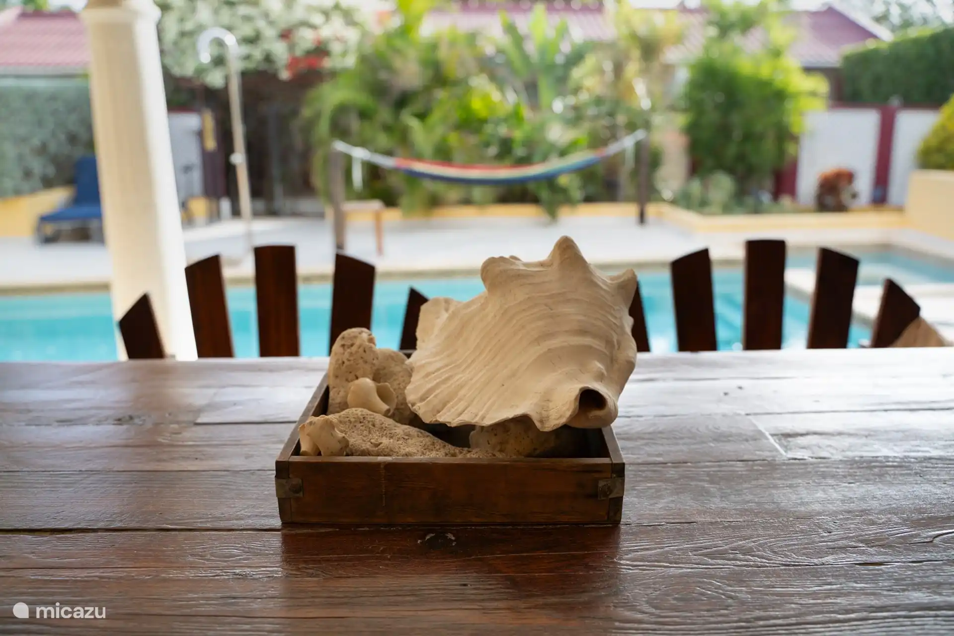 Muscheln an der Bar neben dem Pool.