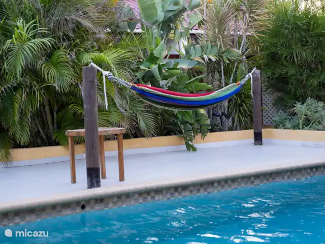Nemah Curaçao - Azure Haven | Curaçao, Curaçao-Centre, Boca St. Michiel - studio Laissez-vous emporter par le sentiment de vacances avec une baignade rafraîchissante, des moments de détente dans le hamac et des après-midi ensoleillés sur une chaise longue sous le parasol.