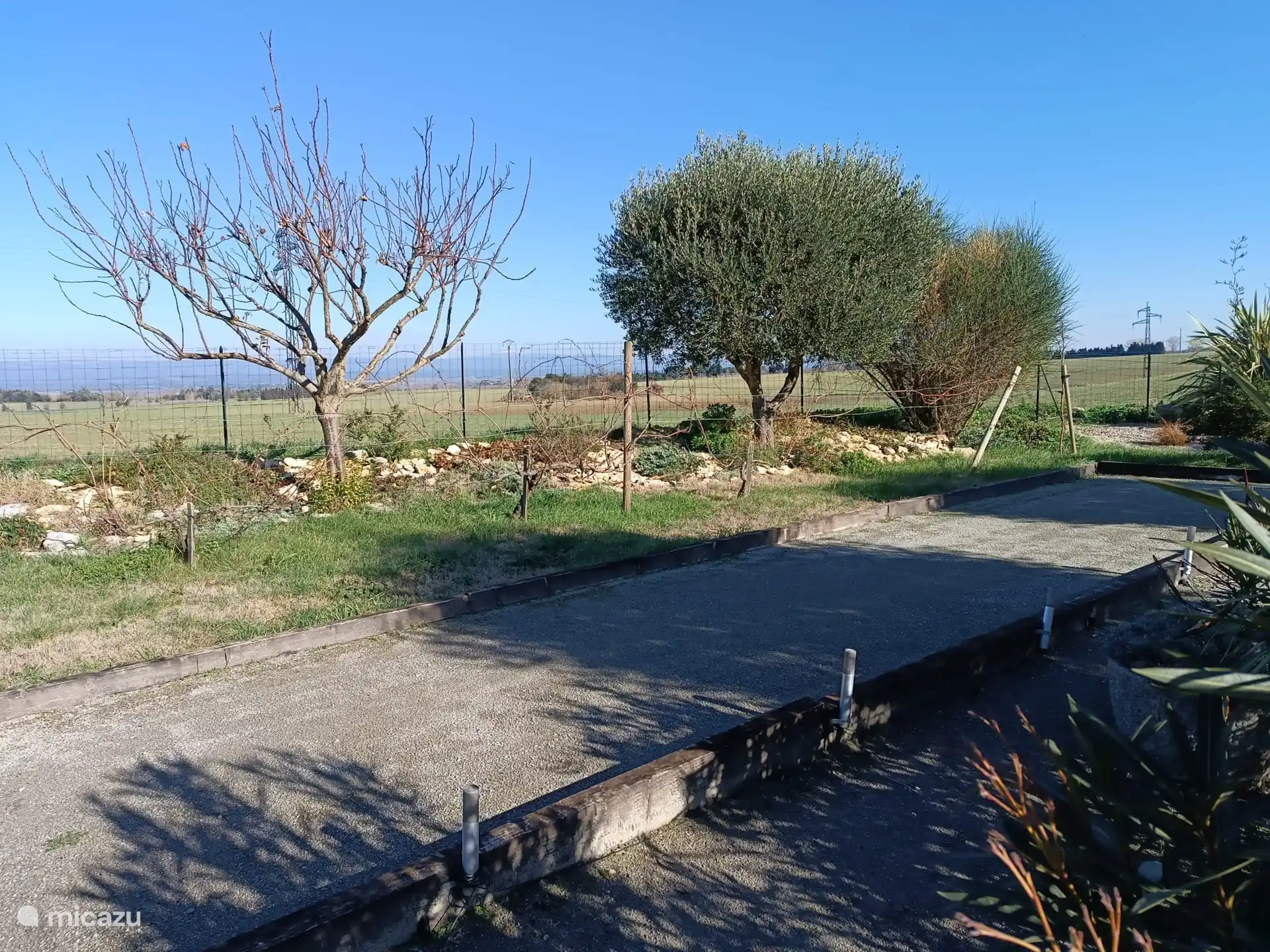 terrain de pétanque