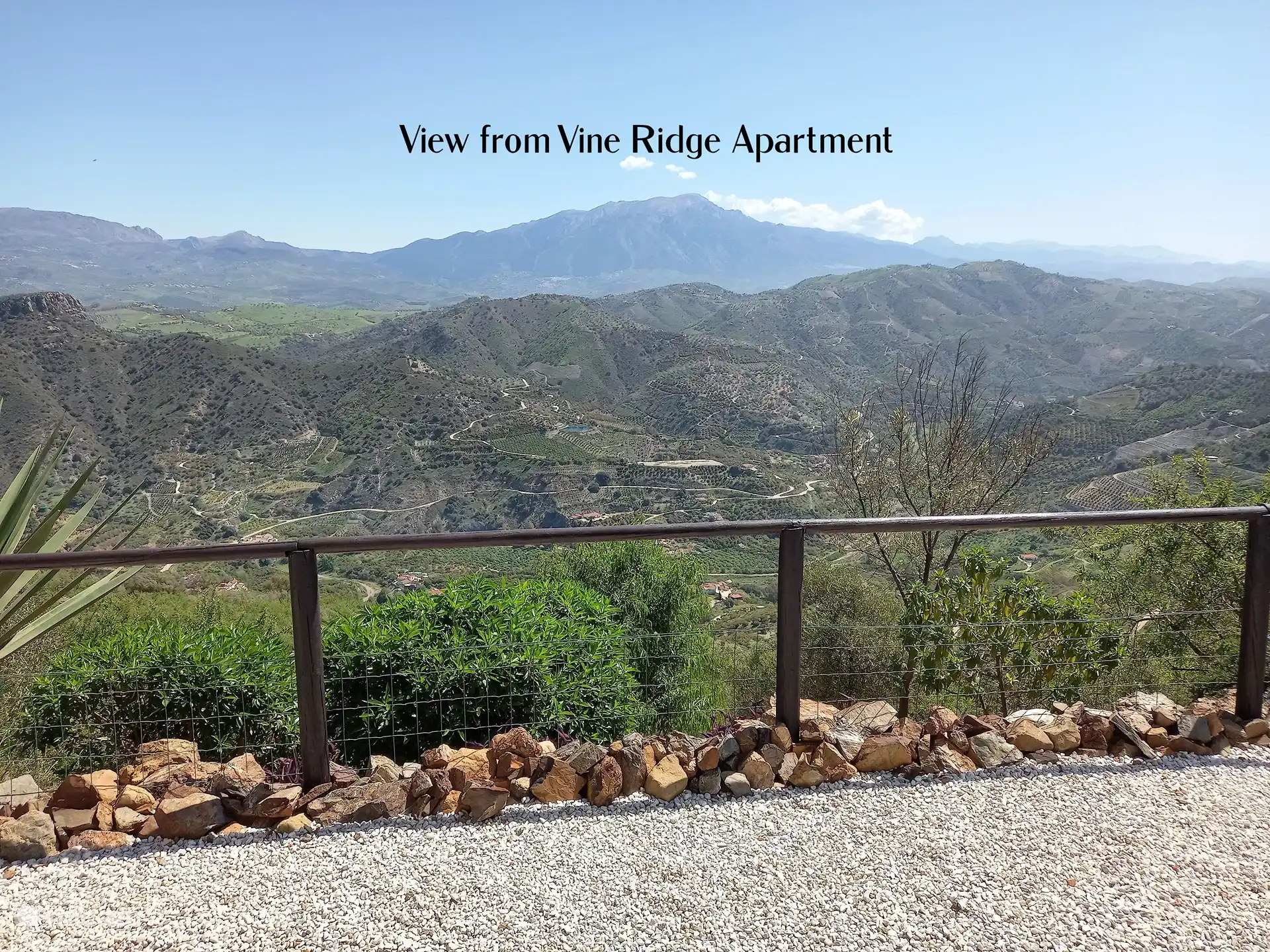 Rebe aus dem Vine Ridge Apartment