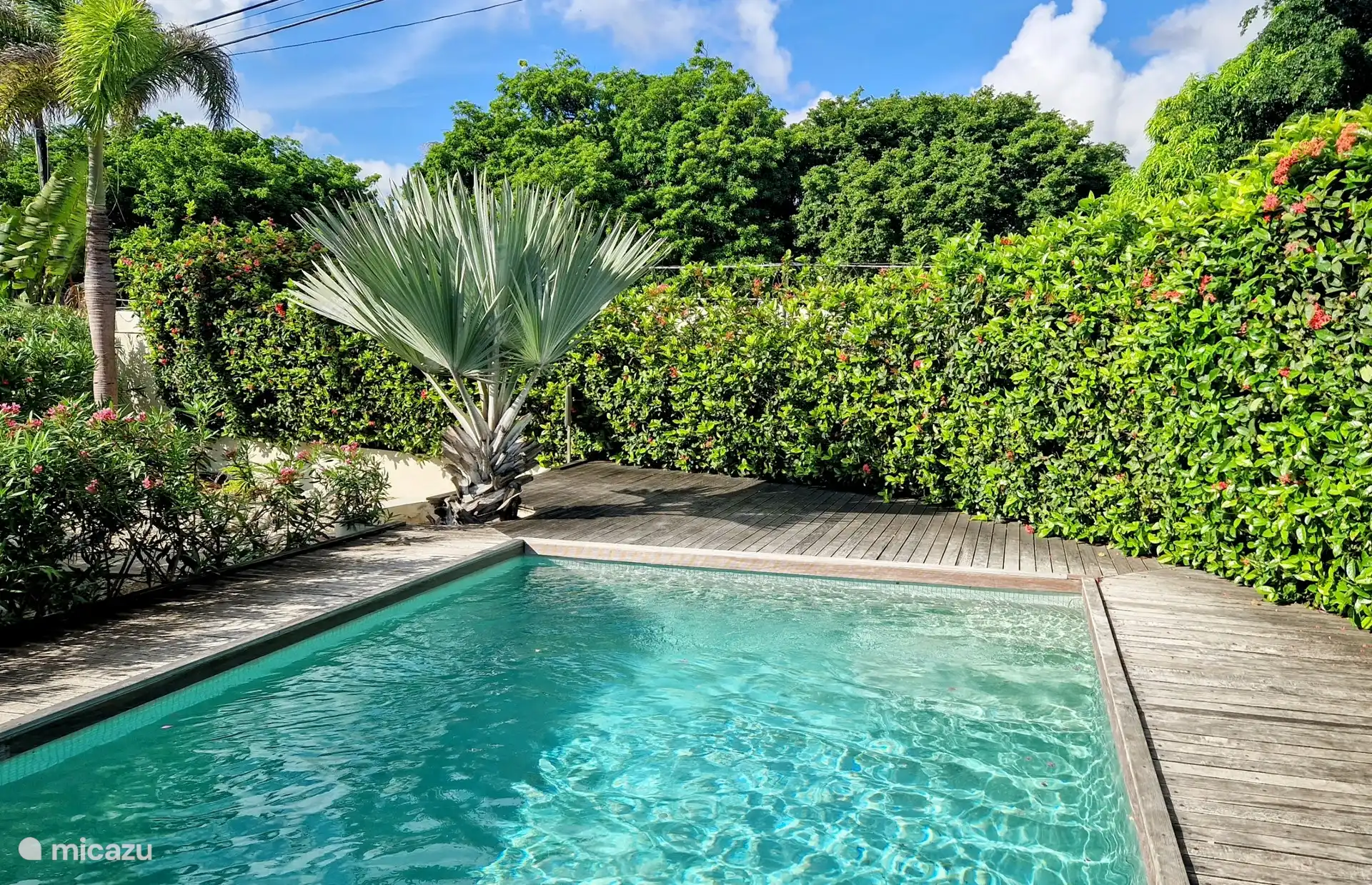 „Pink Panther“, in der Nähe von Mambo Beach in Curaçao, Banda Ariba (Ost), Mambo Beach - Appartement