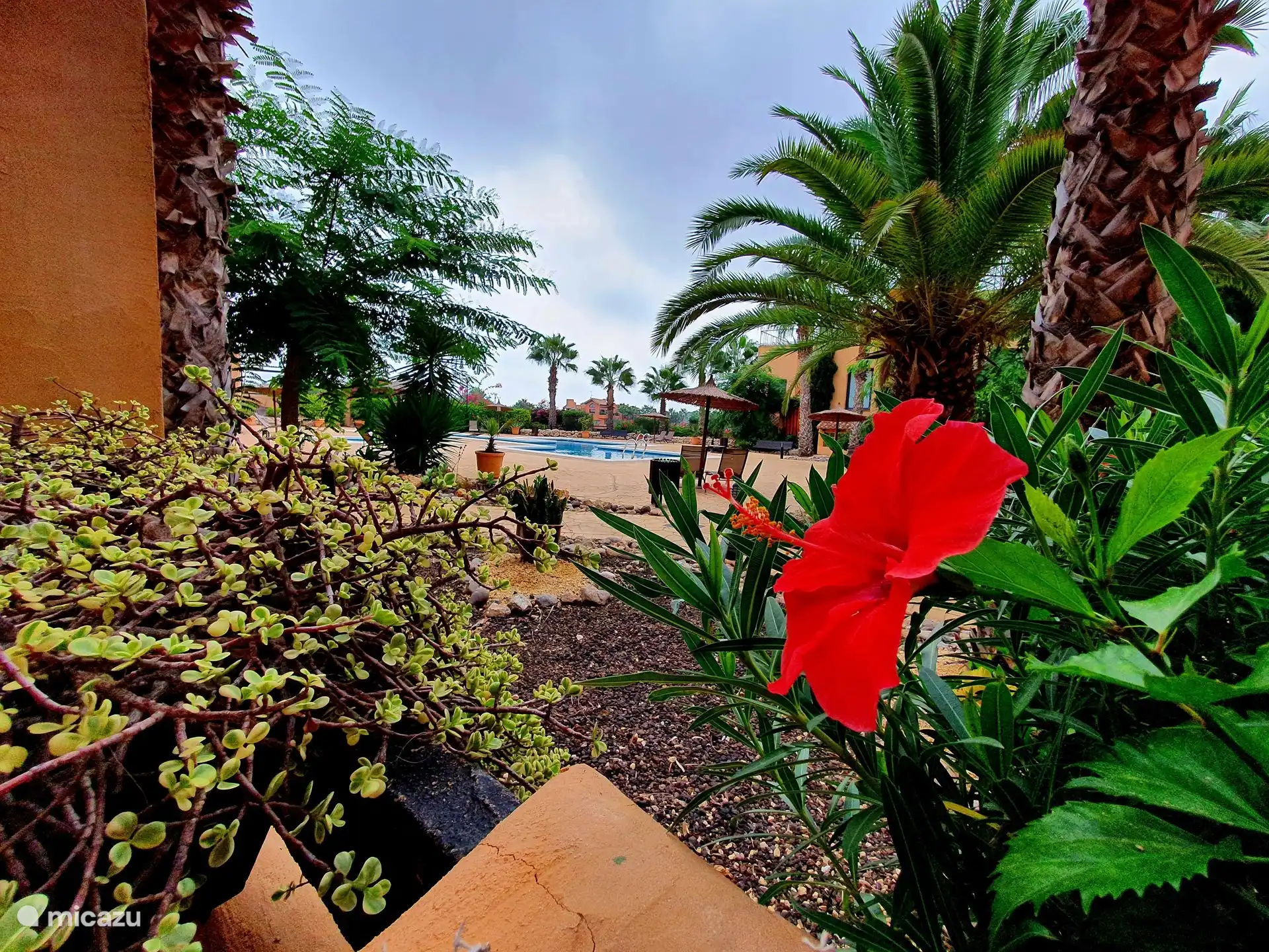 La cour est parfaitement entretenue, même les fleurs y fleurissent toujours.