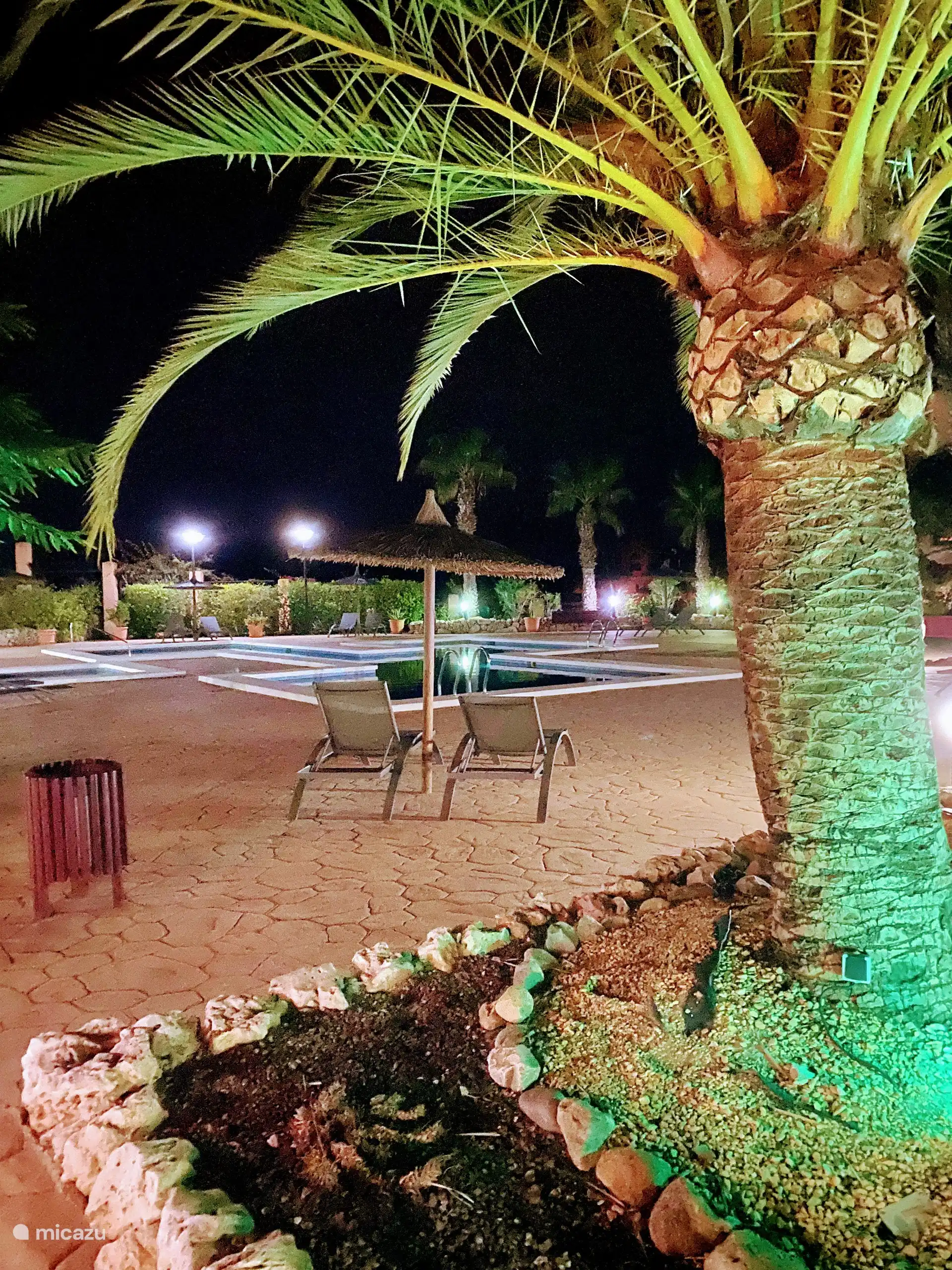 Le jardin de la cour magnifiquement éclairé 