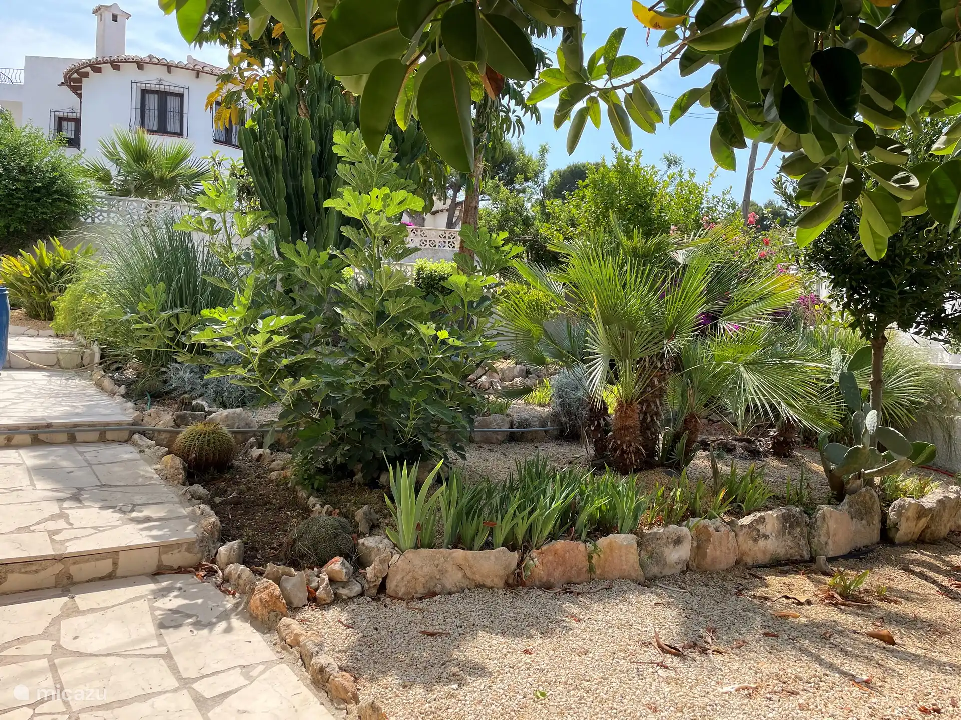 Notre jardin méditerranéen.