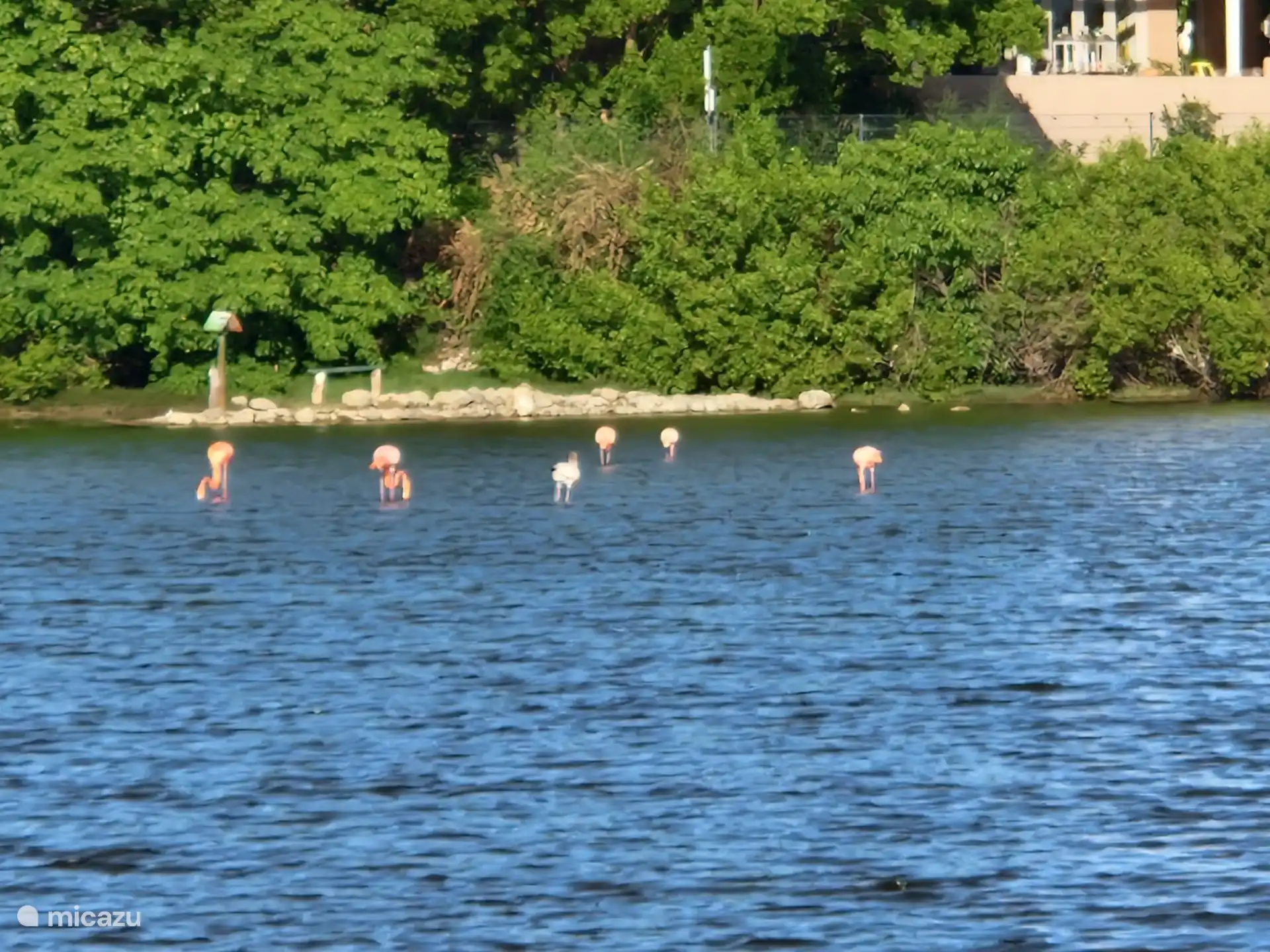 Zoutpannen met flamingo’s.