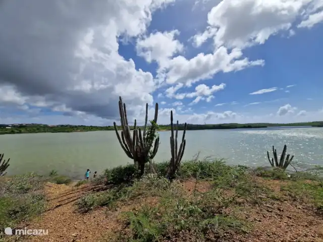 Location de Vacances Curaçao, Banda Ariba (est), Seru Bottelier, maison de vacances - Kasita blanku à la Villa Perla Salières