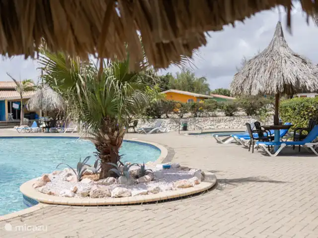 Location de Vacances Curaçao, Banda Ariba (est), Seru Coral, appartement - Appartement de vacances avec piscine Piscine